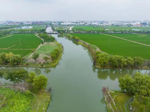 青浦水環境治理見成效，香花橋河道煥新顏