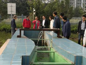生態環境部與省生態環境廳聯合調研我市污水處理廠治理工作